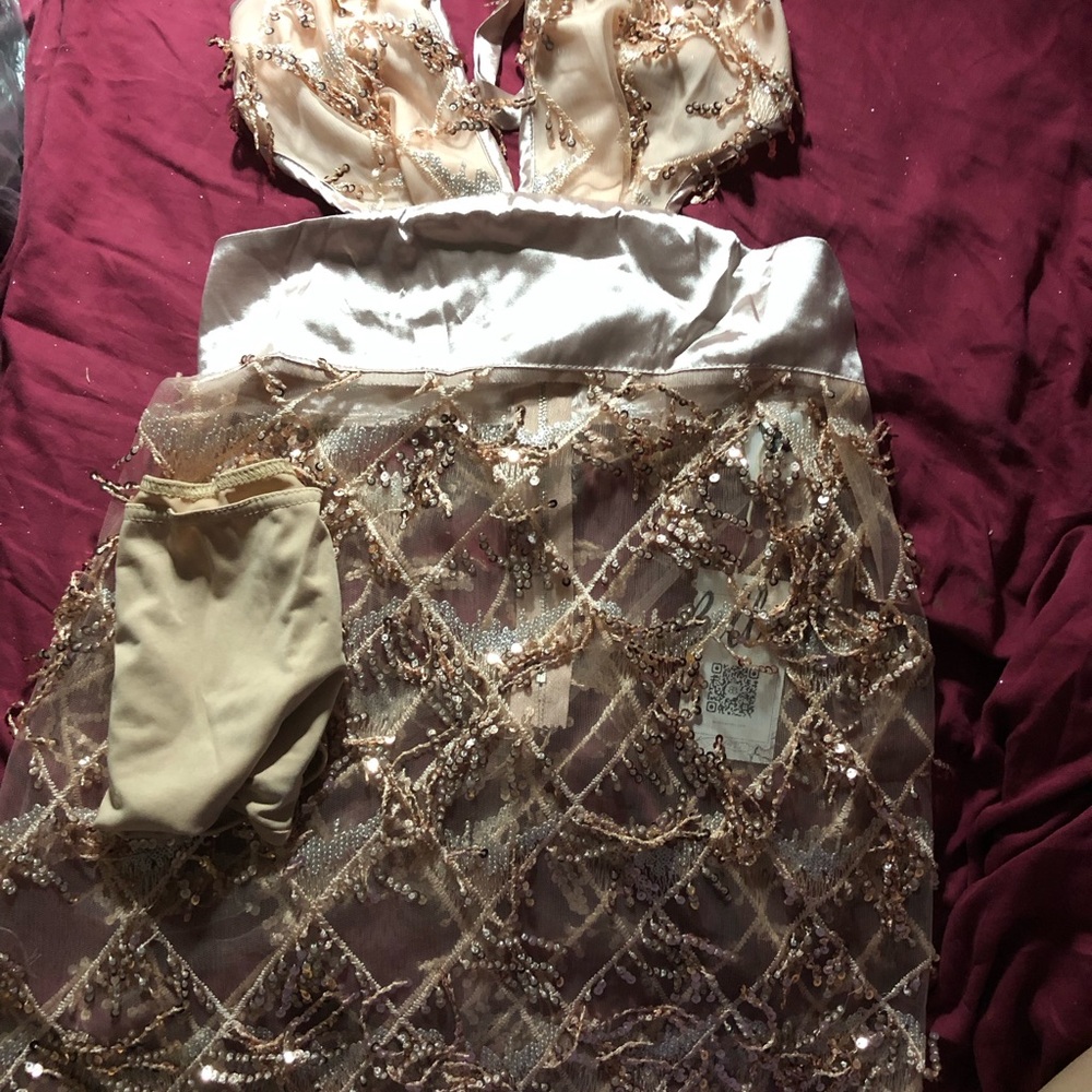 NWT Sexy Part-sheer Champagne Cream and Gold Embellished Sequin Dress